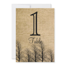 Número elegante de la tabla de la boda de la