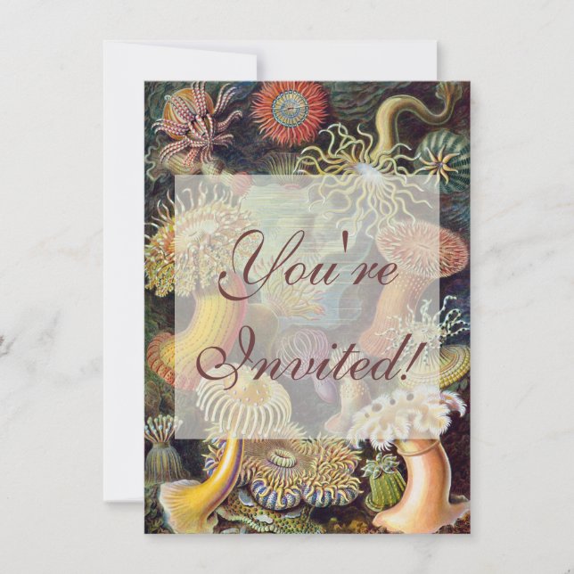 Invitación Océano marino Anemone Científico (Anverso)