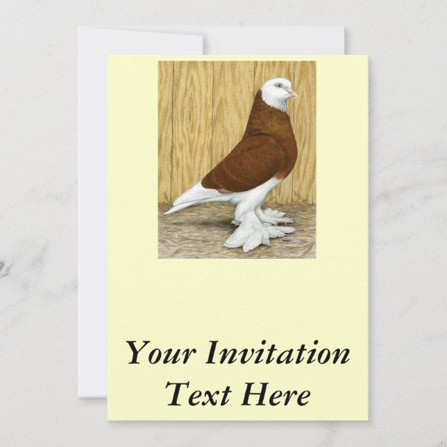 Invitación Oeste de Inglaterra Tumbler Red Baldhead (Anverso)