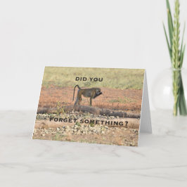 Invitación ¿Olvidaste Algo?