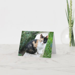 Invitación Opera Gato fantasma