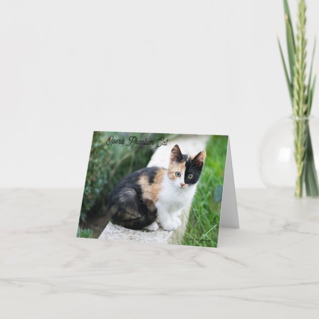 Invitación Opera Gato fantasma (Anverso)