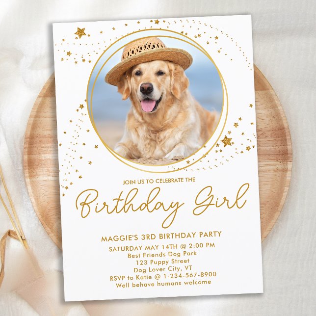Invitación Oro Stars Mascota personalizado Foto de perro Cump (Subido por el creador)