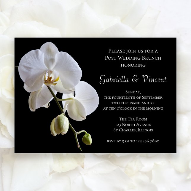 Invitación Orquídea blanca en Black Post Boda Brunch (Subido por el creador)
