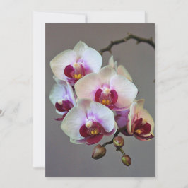 Invitación Orquídea miniatura