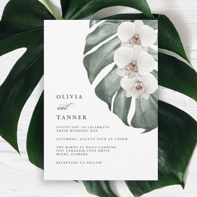 Invitación Orquídeas blancas en el Boda tropical de Monstera (Subido por el creador)