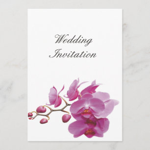 Invitación Orquídeas Bodas baratas Juegos de paquetes