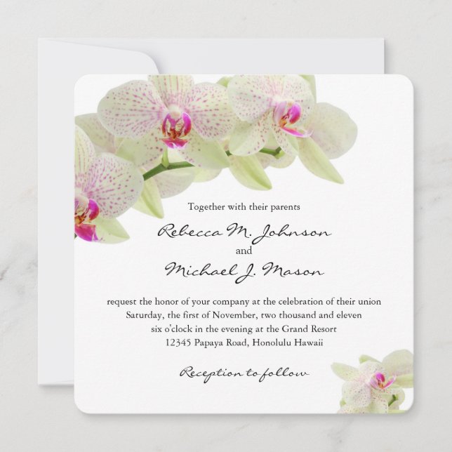 Invitación Orquídeas hermosas del blanco y de las rosas (Anverso)