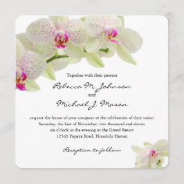 Invitación Orquídeas hermosas del blanco y de las rosas