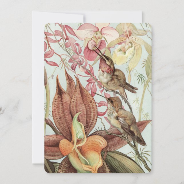 Invitación Orquídeas tropicales, flores y colibríes (Anverso)