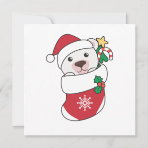 Invitación Oso Polar Navidad Nieve Invierno Animales Polo