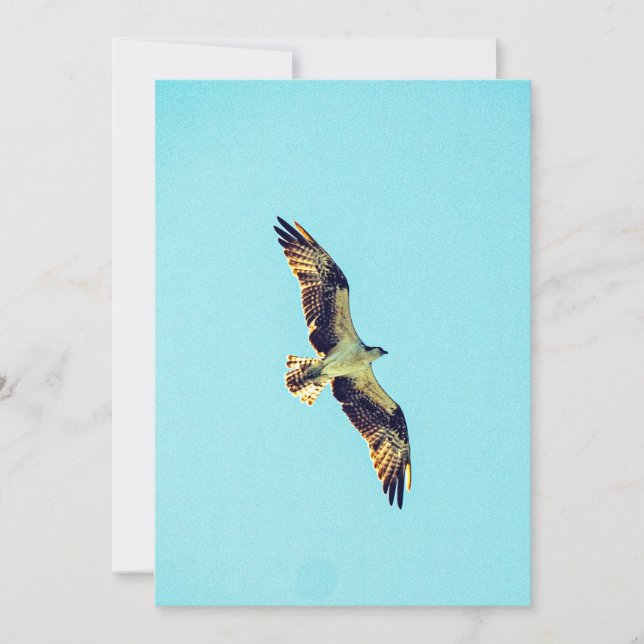 Invitación Osprey art (Anverso)