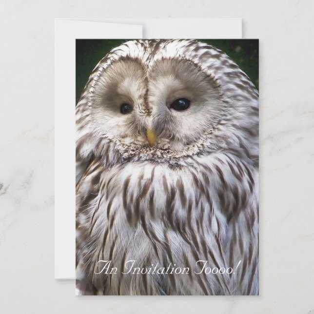 INVITACIÓN OWLS (Anverso)