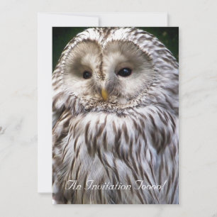 INVITACIÓN OWLS