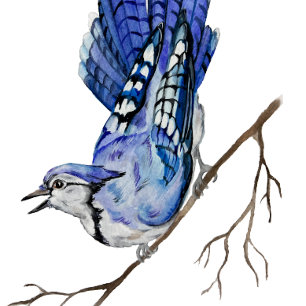 Invitación Pajarera azul acuarela