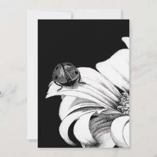 Invitación Pájaro