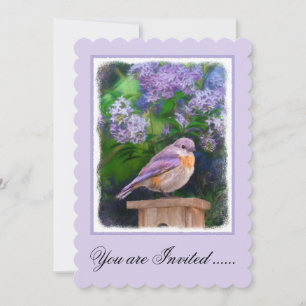 Invitación Pájaro azul oriental en nieve - Fotografía origina