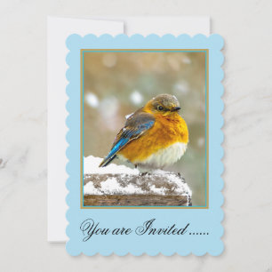 Invitación Pájaro azul oriental en nieve - Fotografía origina