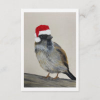 Pájaro de invierno con sombrero de Santa - Obra de