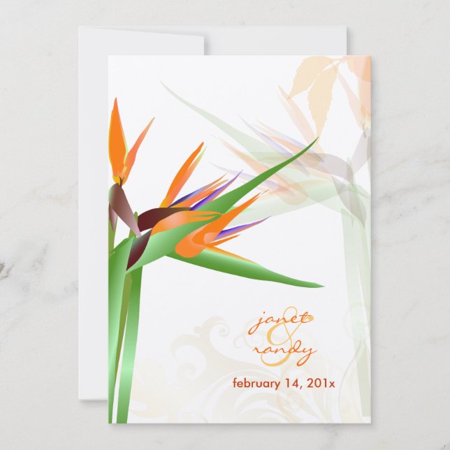 INVITACIÓN PÁJARO DE PÁJARO DE COLORES PARADISE/DIY (Anverso)