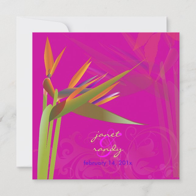 INVITACIÓN PÁJARO DE PÁJARO DE COLORES PARADISE/DIY (Anverso)