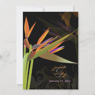 INVITACIÓN PÁJARO DE PÁJARO DE COLORES PARADISE/DIY