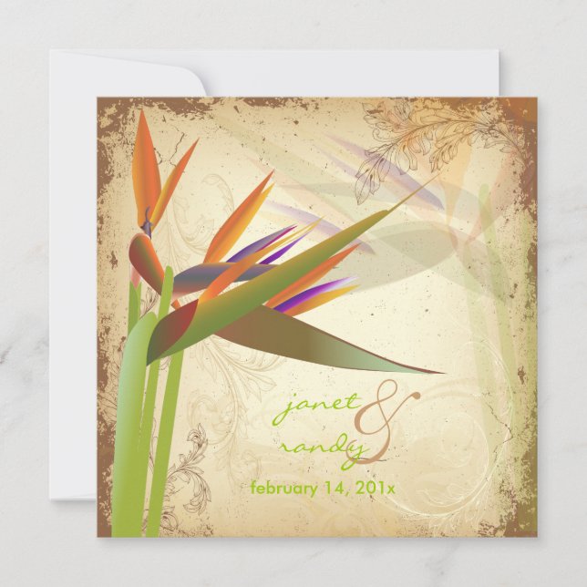 INVITACIÓN PÁJARO VINTAGE DE PARAÍSO (Anverso)