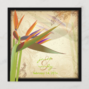 INVITACIÓN PÁJARO VINTAGE DE PARAÍSO
