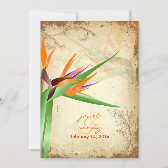 INVITACIÓN PÁJARO VINTAGE DE PARAÍSO (Anverso)