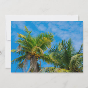 Invitación Palmeras Tropicales y Cocos