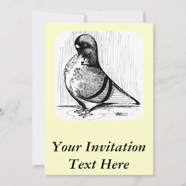 Invitación Paloma de búho africana de 1978 (Anverso)