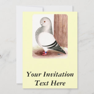 Invitación Palomino de búho azul africano