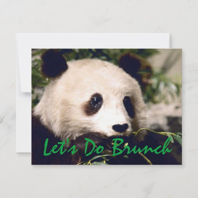 Invitación Panda Munching Greens INVITATION ~ EZ2 PERSONALIZA (Anverso)
