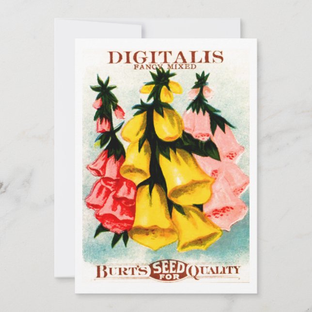 Invitación Paquete clasificado de la semilla del Foxglove de (Anverso)