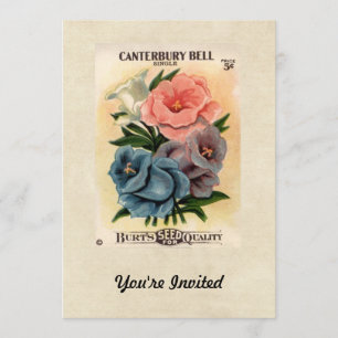Invitación Paquete de semillas de flores de color canterbury