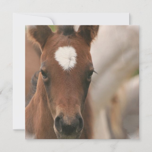 Invitación para bebé de caballo (Anverso)