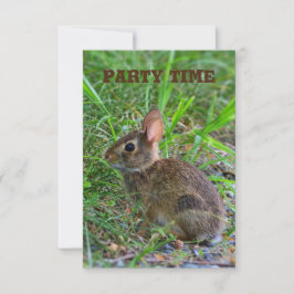 Invitación para fiesta de conejito bebé
