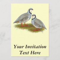 Pareja Chukar