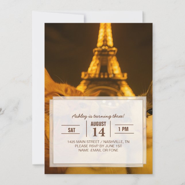 Invitación Paris Night Cat Selfie Squad Lover                 (Anverso)