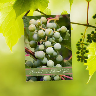 Invitación Partido de compromiso de viñedos de uvas verdes