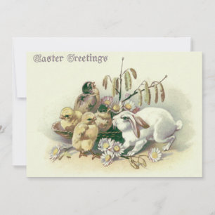 Invitación Pascua Bunny Chick Daisy