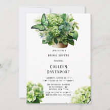 Pastel de mariposa de Hydrangea Verde Ducha de nov