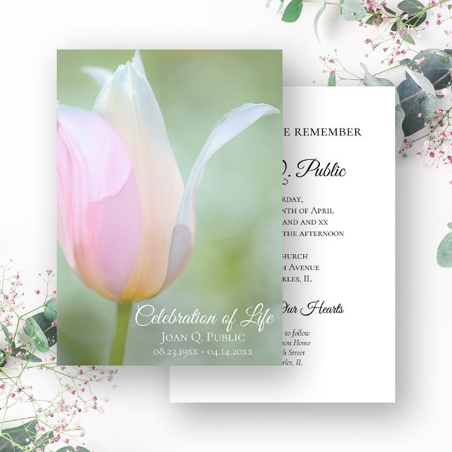 Invitación Pastel Tulip Celebración de la Primavera de la Vid (Subido por el creador)