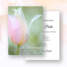 Pastel Tulip Flower Spring Aniversario de la Muert