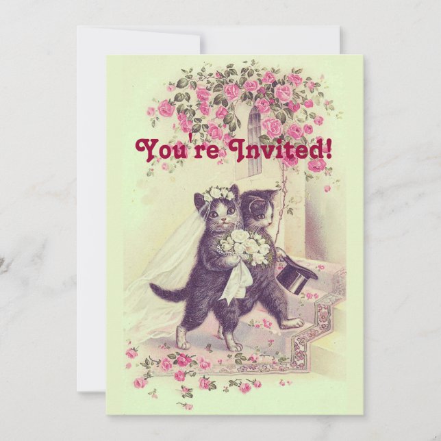 Invitación Pastel verde de gatos Bodas (Anverso)
