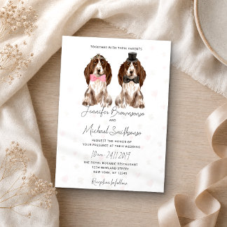 Invitación patas de cocker spaniel corazones boda de perro
