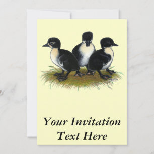 Invitación Patitos Suecos Negros