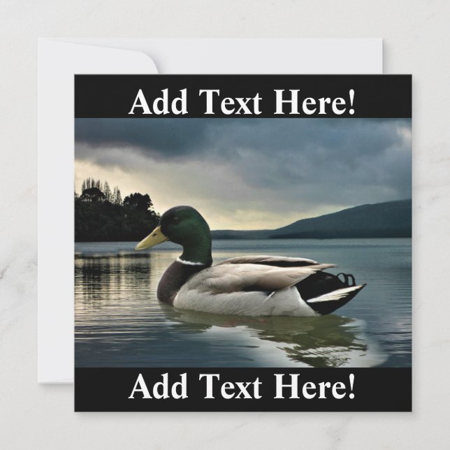Invitación Pato Mallard En El Lago (Anverso)