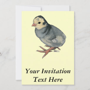 Invitación Pavo azul Slate