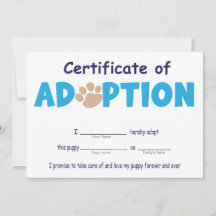 Pavty, certificado de adopción Mascota